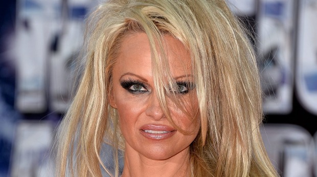 Pamela Anderson Blank Meme Template