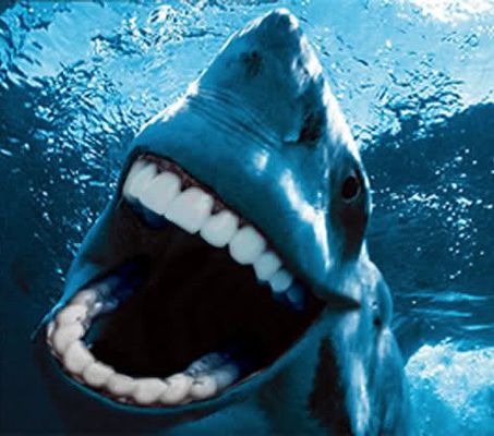 High Quality Human teeth shark Blank Meme Template