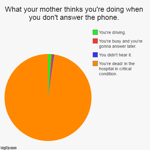 image tagged in funny,pie charts | made w/ Imgflip chart maker