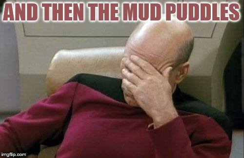 Captain Picard Facepalm Meme | AND THEN THE MUD PUDDLES | image tagged in memes,captain picard facepalm | made w/ Imgflip meme maker