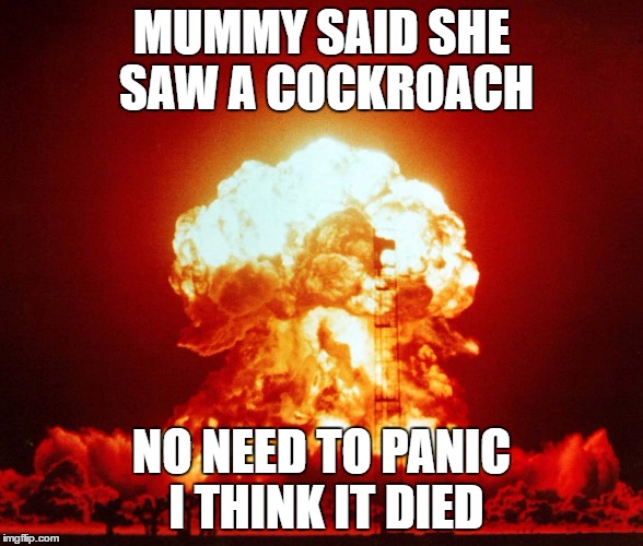 MUMMY SAID SHE SAW A COCKROACH; NO NEED TO PANIC I THINK IT DIED | image tagged in mummy,cockroach,dead | made w/ Imgflip meme maker