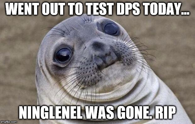 Awkward Moment Sealion Meme | WENT OUT TO TEST DPS TODAY... NINGLENEL WAS GONE. RIP | image tagged in memes,awkward moment sealion | made w/ Imgflip meme maker