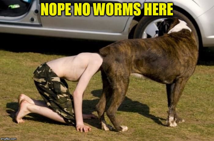 Boxer Butt | NOPE NO WORMS HERE | image tagged in boxer butt | made w/ Imgflip meme maker