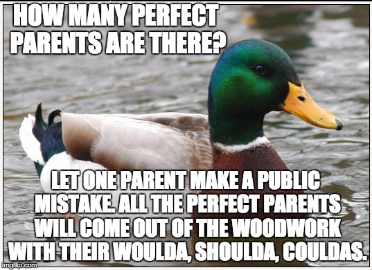 Actual Advice Mallard Meme | HOW MANY PERFECT PARENTS ARE THERE? LET ONE PARENT MAKE A PUBLIC MISTAKE. ALL THE PERFECT PARENTS WILL COME OUT OF THE WOODWORK WITH THEIR WOULDA, SHOULDA, COULDAS. | image tagged in memes,actual advice mallard | made w/ Imgflip meme maker