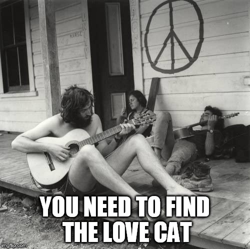 YOU NEED TO FIND THE LOVE CAT | made w/ Imgflip meme maker