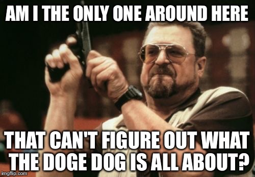 I can't figure it out, too afraid to ask and way too lazy to look it up | AM I THE ONLY ONE AROUND HERE; THAT CAN'T FIGURE OUT WHAT THE DOGE DOG IS ALL ABOUT? | image tagged in memes,am i the only one around here,doge,wtf | made w/ Imgflip meme maker