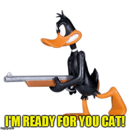 I'M READY FOR YOU CAT! | made w/ Imgflip meme maker