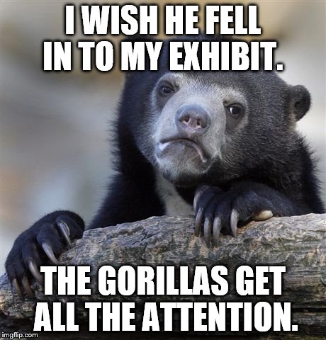 Confession Bear | I WISH HE FELL IN TO MY EXHIBIT. THE GORILLAS GET ALL THE ATTENTION. | image tagged in memes,confession bear | made w/ Imgflip meme maker