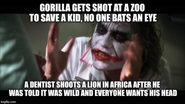And everybody loses their minds | GORILLA GETS SHOT AT A ZOO TO SAVE A KID, NO ONE BATS AN EYE; A DENTIST SHOOTS A LION IN AFRICA AFTER HE WAS TOLD IT WAS WILD AND EVERYONE WANTS HIS HEAD | image tagged in memes,and everybody loses their minds | made w/ Imgflip meme maker