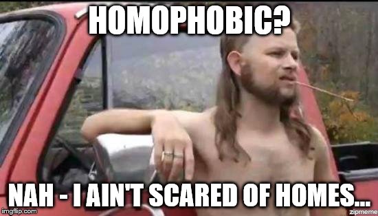 almost politically correct redneck | HOMOPHOBIC? NAH - I AIN'T SCARED OF HOMES... | image tagged in almost politically correct redneck,homophobic | made w/ Imgflip meme maker