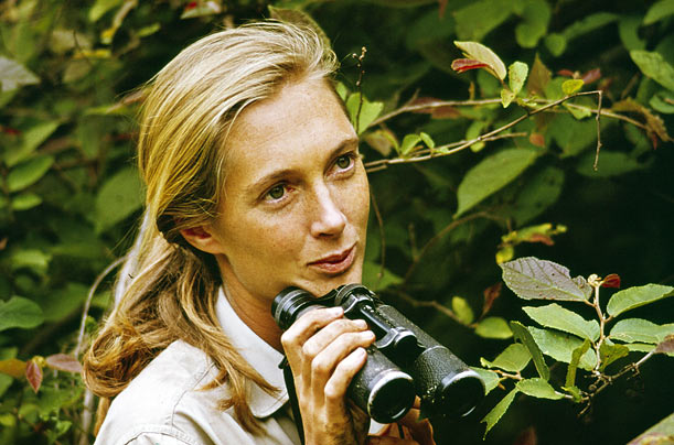 jane Goodall  Blank Meme Template