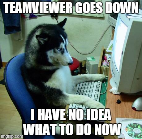 Teamviewer down | TEAMVIEWER GOES DOWN; I HAVE NO IDEA WHAT TO DO NOW | image tagged in memes,i have no idea what i am doing,teamviewer | made w/ Imgflip meme maker