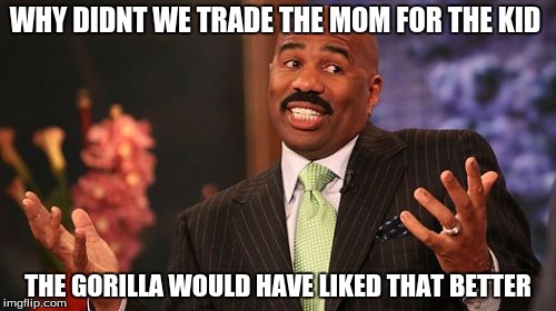 Steve Harvey | WHY DIDNT WE TRADE THE MOM FOR THE KID; THE GORILLA WOULD HAVE LIKED THAT BETTER | image tagged in memes,steve harvey | made w/ Imgflip meme maker