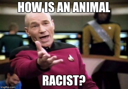 Picard Wtf Meme | HOW IS AN ANIMAL RACIST? | image tagged in memes,picard wtf | made w/ Imgflip meme maker