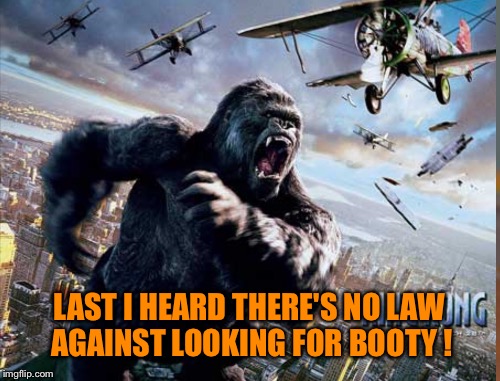 It's A Primal Urge, Man! | LAST I HEARD THERE'S NO LAW AGAINST LOOKING FOR BOOTY ! | image tagged in king kong,booty | made w/ Imgflip meme maker