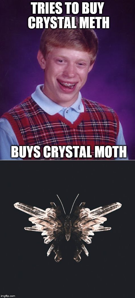 Bad Luck Buyer | TRIES TO BUY CRYSTAL METH; BUYS CRYSTAL MOTH | image tagged in memes,drugs,bad luck brian | made w/ Imgflip meme maker