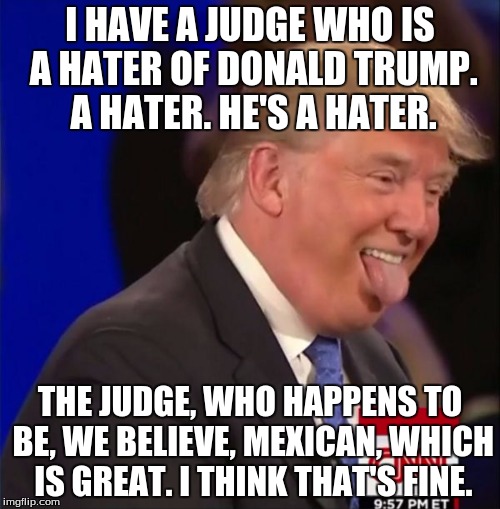 Donald Trump is an Idiot | I HAVE A JUDGE WHO IS A HATER OF DONALD TRUMP. A HATER. HE'S A HATER. THE JUDGE, WHO HAPPENS TO BE, WE BELIEVE, MEXICAN, WHICH IS GREAT. I THINK THAT'S FINE. | image tagged in donald trump is an idiot | made w/ Imgflip meme maker