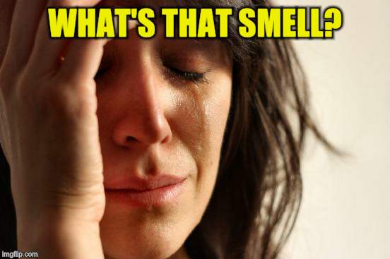 First World Problems Meme | WHAT'S THAT SMELL? | image tagged in memes,first world problems | made w/ Imgflip meme maker