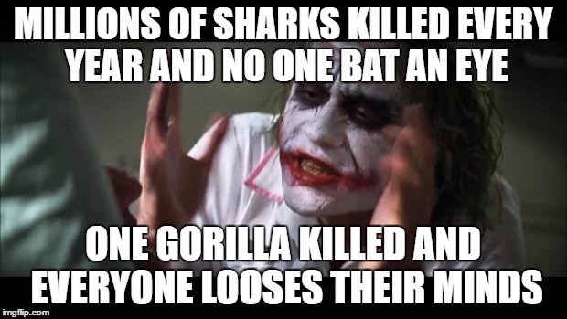 And everybody loses their minds | MILLIONS OF SHARKS KILLED EVERY YEAR AND NO ONE BAT AN EYE; ONE GORILLA KILLED AND EVERYONE LOOSES THEIR MINDS | image tagged in memes,and everybody loses their minds | made w/ Imgflip meme maker