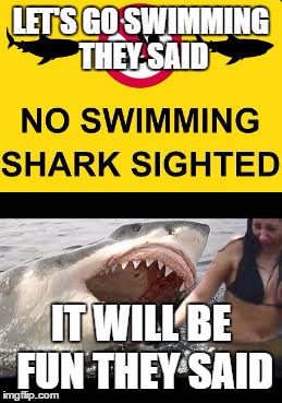 LET'S GO SWIMMING THEY SAID; IT WILL BE FUN THEY SAID | image tagged in shark | made w/ Imgflip meme maker