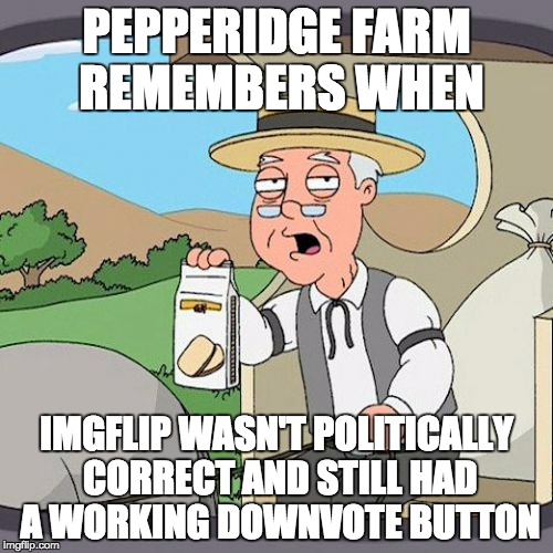 Apparently people might be offended if we showed their meme sucked... | PEPPERIDGE FARM REMEMBERS WHEN; IMGFLIP WASN'T POLITICALLY CORRECT AND STILL HAD A WORKING DOWNVOTE BUTTON | image tagged in memes,pepperidge farm remembers | made w/ Imgflip meme maker