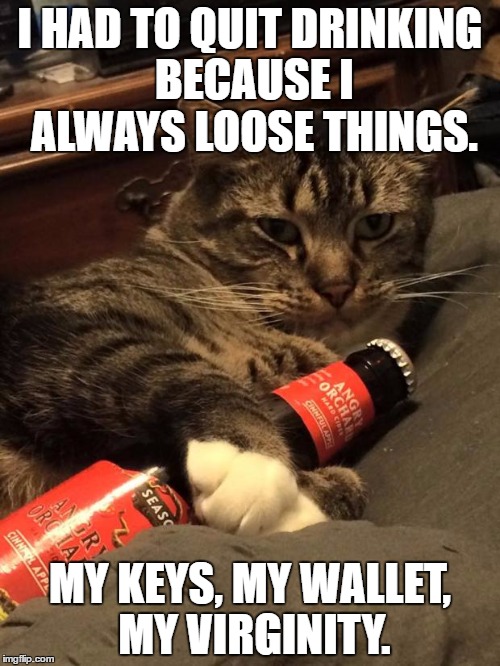 Alcoholic Cat | I HAD TO QUIT DRINKING BECAUSE I ALWAYS LOOSE THINGS. MY KEYS, MY WALLET, MY VIRGINITY. | image tagged in alcoholic cat | made w/ Imgflip meme maker