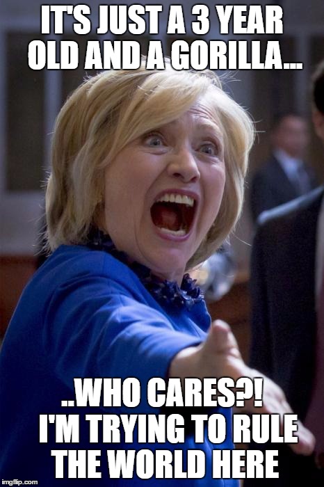 Hillary - "Who Cares?" | IT'S JUST A 3 YEAR OLD AND A GORILLA... ..WHO CARES?!  I'M TRYING TO RULE THE WORLD HERE | image tagged in wtf hillary,hillary,campaign,gorilla,hillary sucks | made w/ Imgflip meme maker