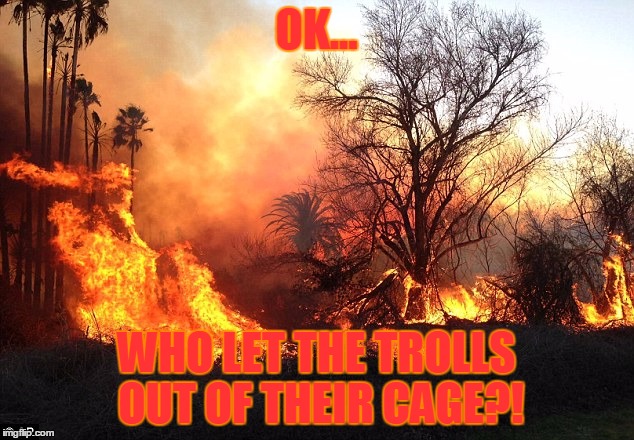 Keep them caged at all times! | OK... WHO LET THE TROLLS OUT OF THEIR CAGE?! | image tagged in flame war flames devastation,trolls,trolling,memes,funny | made w/ Imgflip meme maker