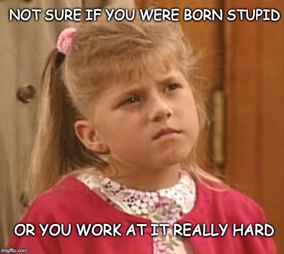 Full House | NOT SURE IF YOU WERE BORN STUPID; OR YOU WORK AT IT REALLY HARD | image tagged in full house | made w/ Imgflip meme maker