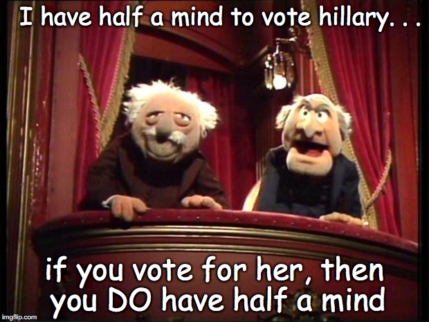 Muppets | I have half a mind to vote hillary. . . if you vote for her, then you DO have half a mind | image tagged in muppets | made w/ Imgflip meme maker