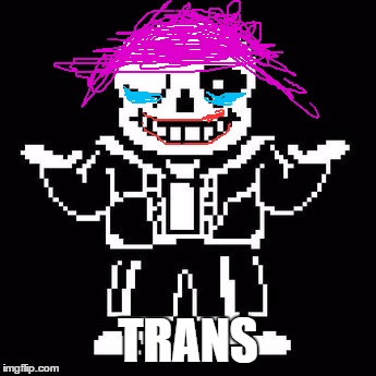 I'm sorry internet, I had to |  TRANS | image tagged in sans | made w/ Imgflip meme maker