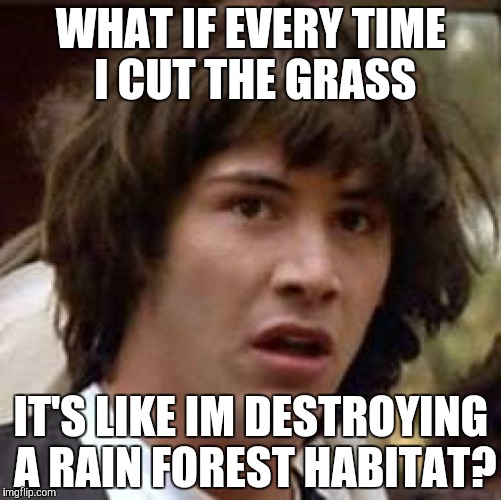 Save the bugs! | WHAT IF EVERY TIME I CUT THE GRASS; IT'S LIKE IM DESTROYING A RAIN FOREST HABITAT? | image tagged in memes,conspiracy keanu | made w/ Imgflip meme maker