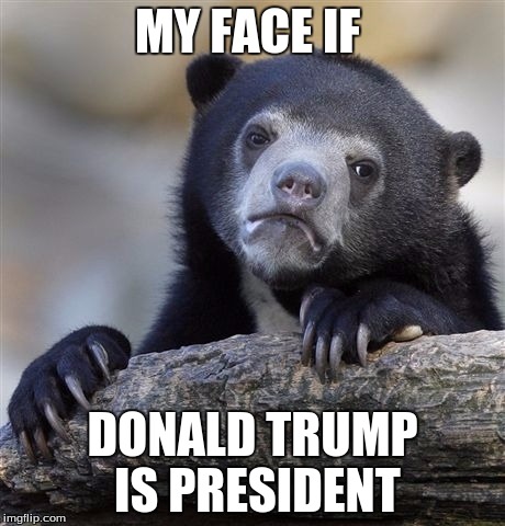 Confession Bear | MY FACE IF; DONALD TRUMP IS PRESIDENT | image tagged in memes,confession bear | made w/ Imgflip meme maker