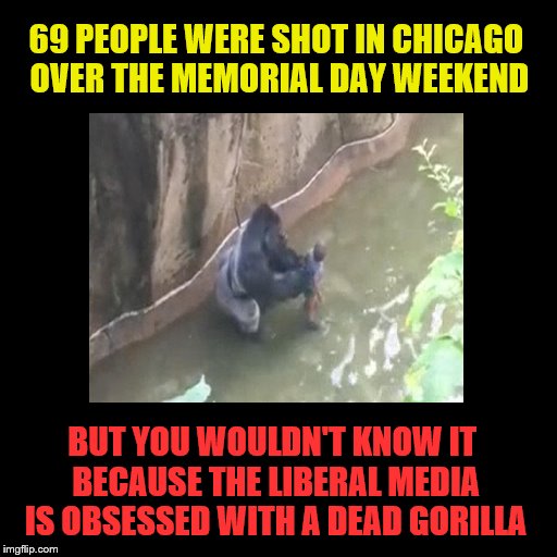 Gorilla  | 69 PEOPLE WERE SHOT IN CHICAGO OVER THE MEMORIAL DAY WEEKEND; BUT YOU WOULDN'T KNOW IT BECAUSE THE LIBERAL MEDIA IS OBSESSED WITH A DEAD GORILLA | image tagged in liberal media | made w/ Imgflip meme maker