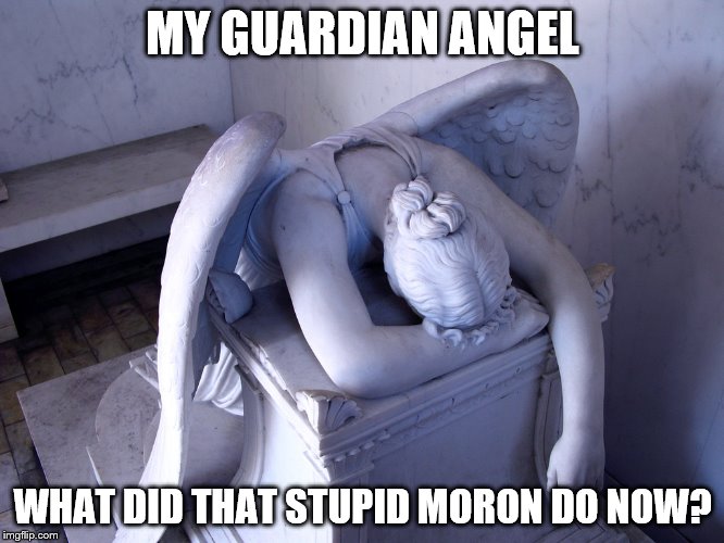 guardian angel | MY GUARDIAN ANGEL; WHAT DID THAT STUPID MORON DO NOW? | image tagged in guardian angel | made w/ Imgflip meme maker