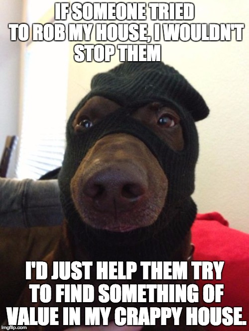 dog robber | IF SOMEONE TRIED TO ROB MY HOUSE, I WOULDN'T STOP THEM; I'D JUST HELP THEM TRY TO FIND SOMETHING OF VALUE IN MY CRAPPY HOUSE. | image tagged in dog robber | made w/ Imgflip meme maker