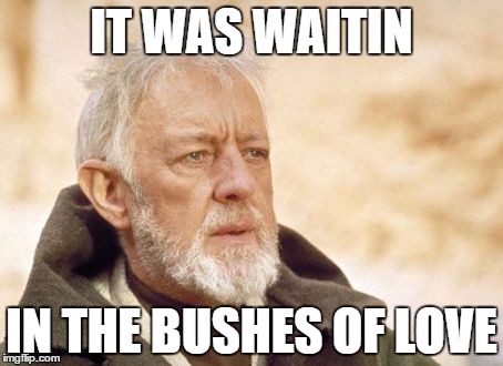 Obi Wan Kenobi Meme | IT WAS WAITIN; IN THE BUSHES OF LOVE | image tagged in memes,obi wan kenobi | made w/ Imgflip meme maker