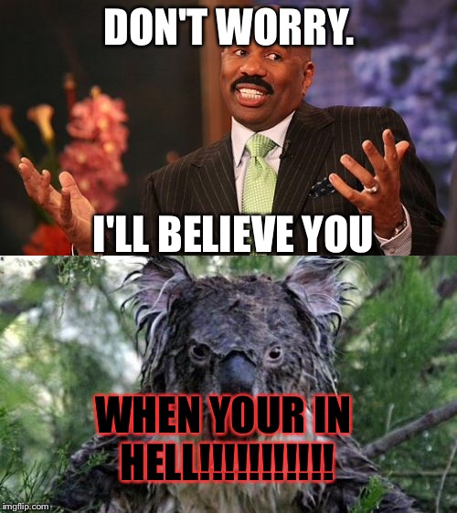 When someone says they read the terms and agreements  | DON'T WORRY. I'LL BELIEVE YOU; WHEN YOUR IN HELL!!!!!!!!!!! | image tagged in lies,steve harvey,angry koala,satan,hell | made w/ Imgflip meme maker