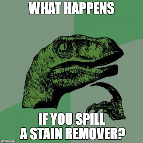 Philosoraptor | WHAT HAPPENS; IF YOU SPILL A STAIN REMOVER? | image tagged in memes,philosoraptor | made w/ Imgflip meme maker