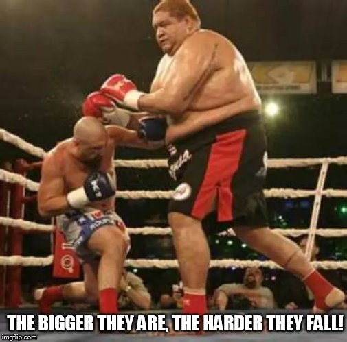 THE BIGGER THEY ARE, THE HARDER THEY FALL! | made w/ Imgflip meme maker