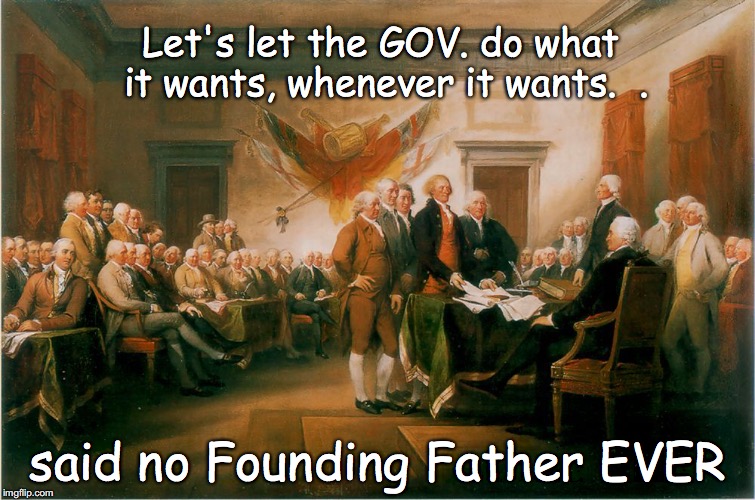 Constitution | Let's let the GOV. do what it wants, whenever it wants.  . said no Founding Father EVER | image tagged in constitution | made w/ Imgflip meme maker