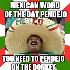Mexican Fiesta | MEXICAN WORD OF THE DAY PENDEJO; YOU NEED TO PENDEJO ON THE DONKEY | image tagged in mexican fiesta | made w/ Imgflip meme maker