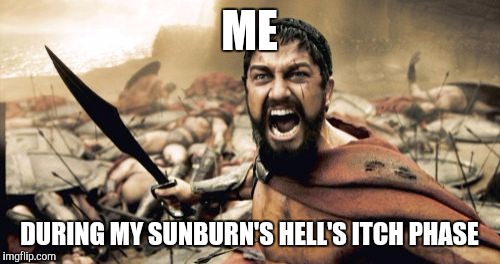 Sparta Leonidas | ME; DURING MY SUNBURN'S HELL'S ITCH PHASE | image tagged in memes,sparta leonidas | made w/ Imgflip meme maker