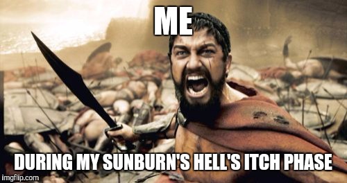 Sparta Leonidas Meme | ME; DURING MY SUNBURN'S HELL'S ITCH PHASE | image tagged in memes,sparta leonidas | made w/ Imgflip meme maker