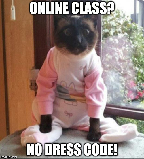 Online class? No dress code. |  ONLINE CLASS? NO DRESS CODE! | image tagged in cats pajamas,dress code,no dress code,casual fridays,casual | made w/ Imgflip meme maker