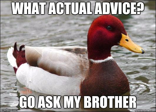 make actual bad advice mallard | WHAT ACTUAL ADVICE? GO ASK MY BROTHER | image tagged in make actual bad advice mallard | made w/ Imgflip meme maker