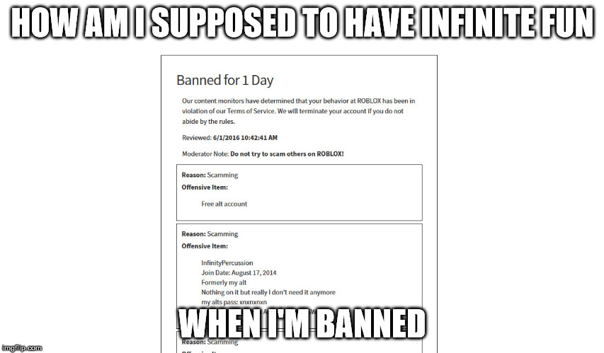 How Do I...? | HOW AM I SUPPOSED TO HAVE INFINITE FUN; WHEN I'M BANNED | image tagged in how do i | made w/ Imgflip meme maker