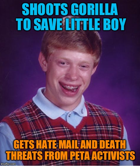 Bad Luck Brian Meme | SHOOTS GORILLA TO SAVE LITTLE BOY GETS HATE MAIL AND DEATH THREATS FROM PETA ACTIVISTS | image tagged in memes,bad luck brian | made w/ Imgflip meme maker