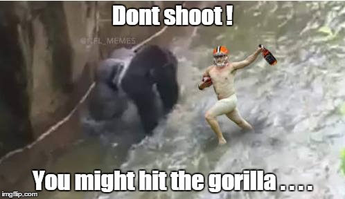 Manziel acting like a 4 year old | Dont shoot ! You might hit the gorilla . . . . | image tagged in memes | made w/ Imgflip meme maker