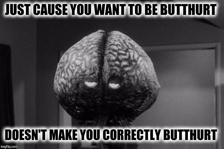 JUST CAUSE YOU WANT TO BE BUTTHURT DOESN'T MAKE YOU CORRECTLY BUTTHURT | made w/ Imgflip meme maker